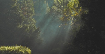 风景图片